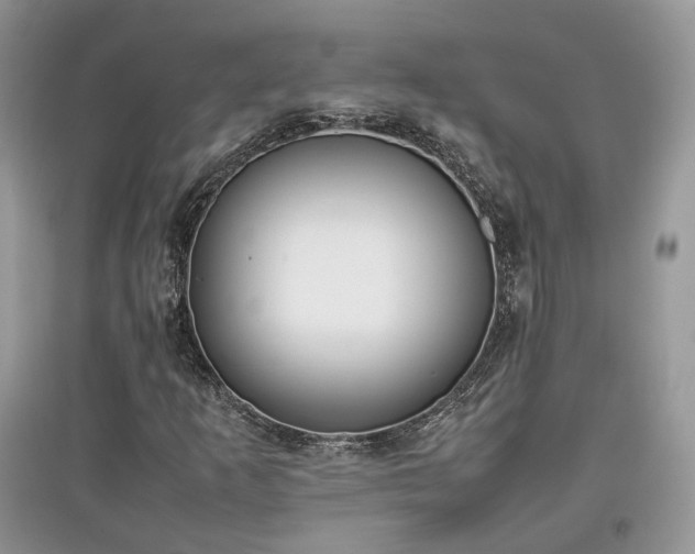 X0000097641253200803071545