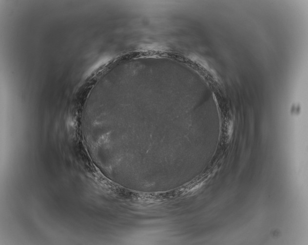 X0000097641254200803071545