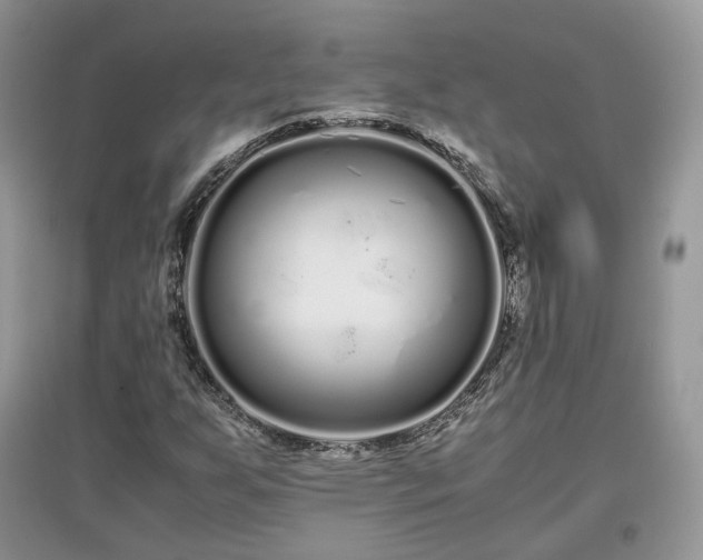 X0000097641255200803071545