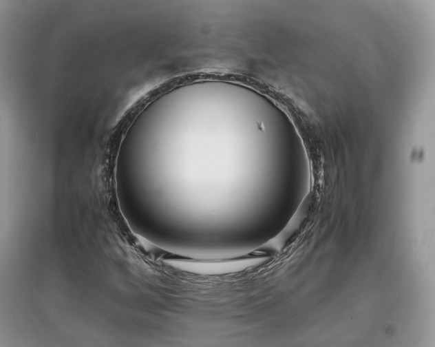 X0000097641256200803071545