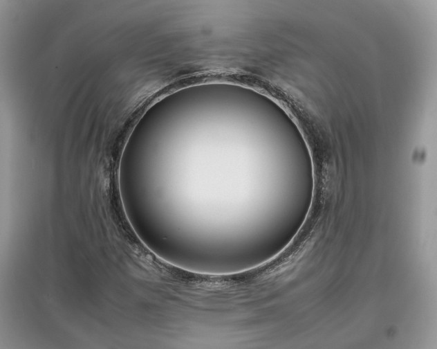 X0000097641257200803071545