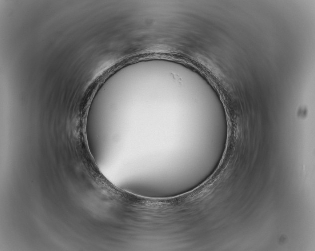 X0000097641258200803071545