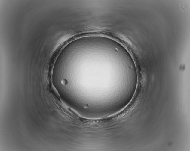 X0000097641259200803071545