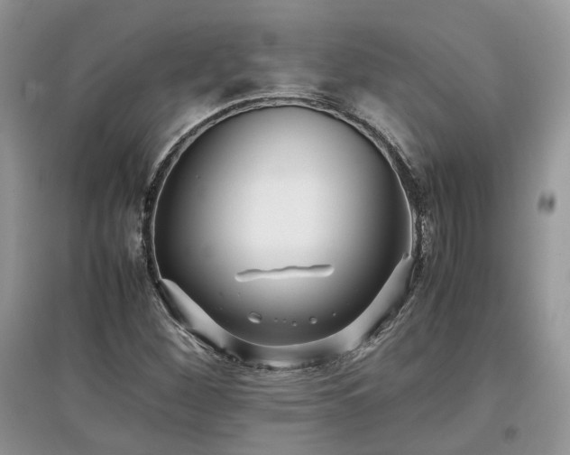 X0000097641260200803071545