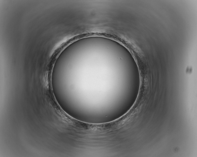 X0000097641262200803071545