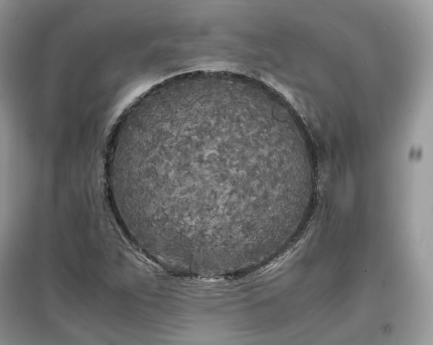 X0000097641263200803071545