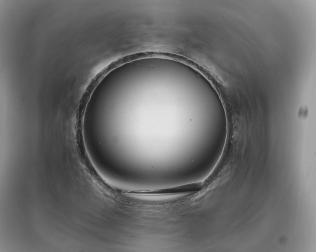 X0000097641264200803071545