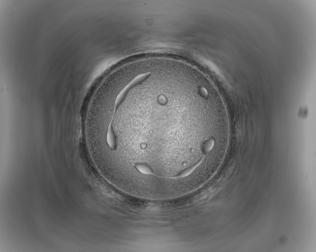 X0000097641267200803071545