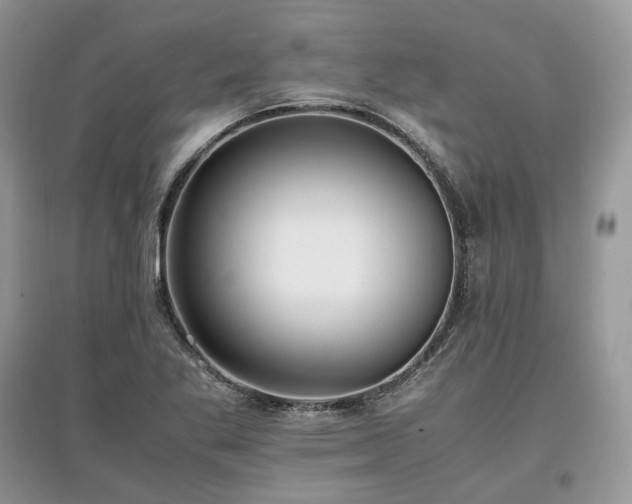 X0000097641269200803071545