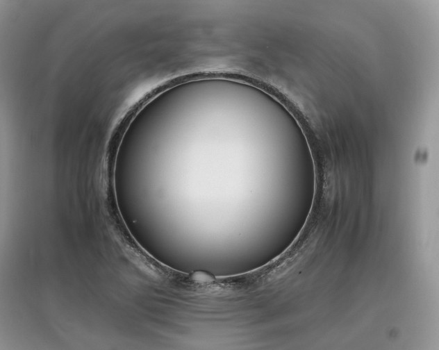 X0000097641270200803071545