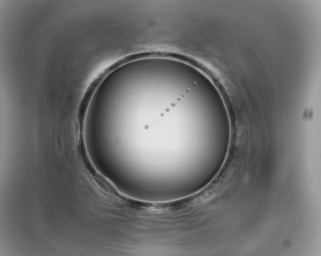 X0000097641271200803071545