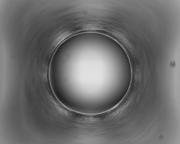 X0000097641273200803071545