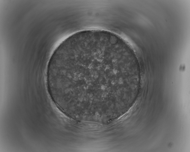 X0000097641279200803071545