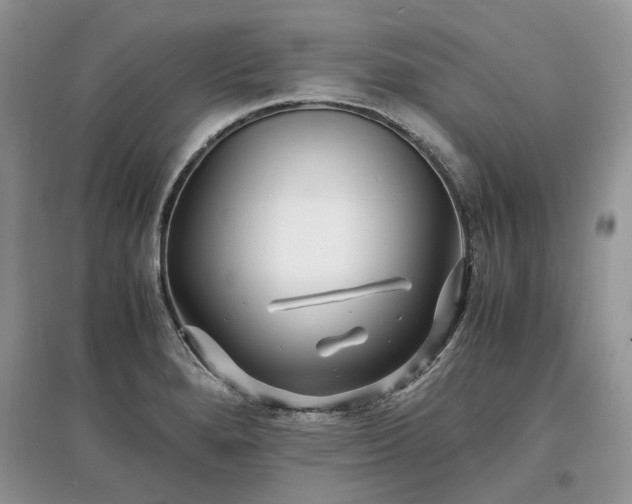 X0000097641280200803071545