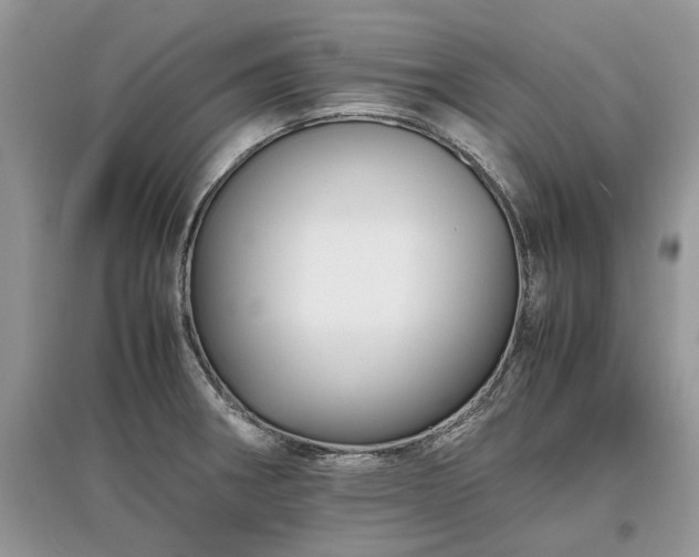 X0000097641282200803071545