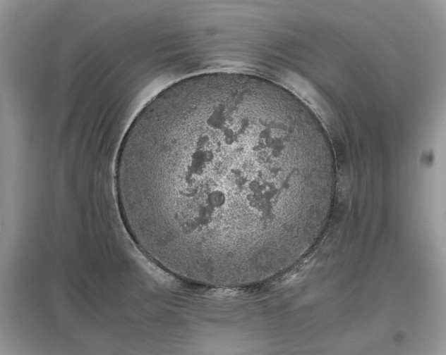 X0000097641283200803071545