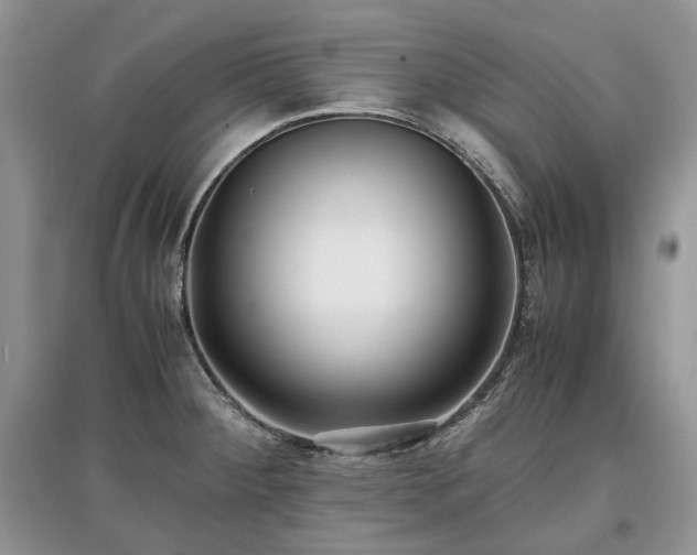 X0000097641284200803071545