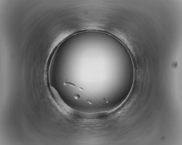 X0000097641285200803071545