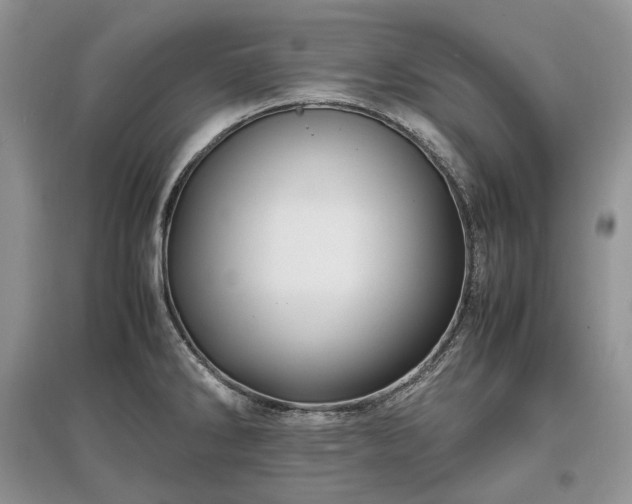 X0000097641286200803071545