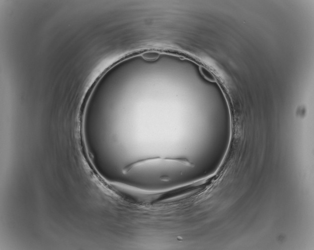 X0000097641287200803071545