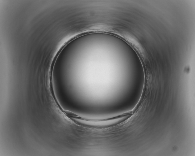 X0000097641288200803071545