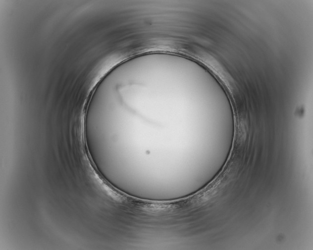 X0000097641290200803071545