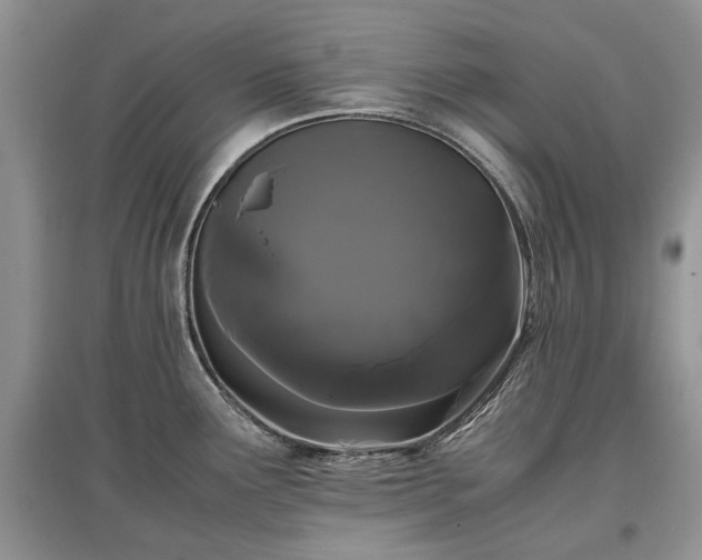 X0000097641291200803071545