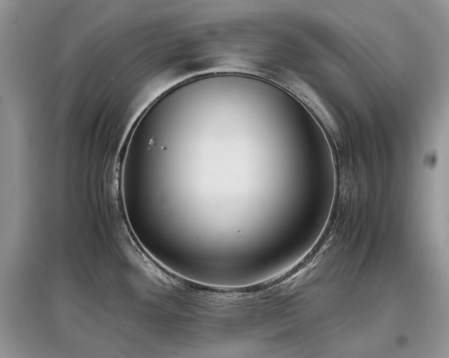 X0000097641292200803071545