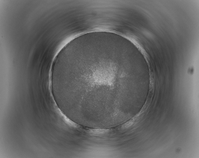 X0000097641294200803071545