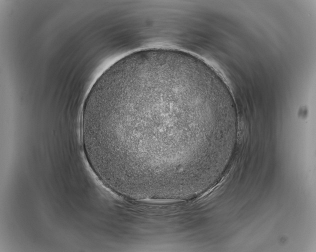 X0000097641295200803071545