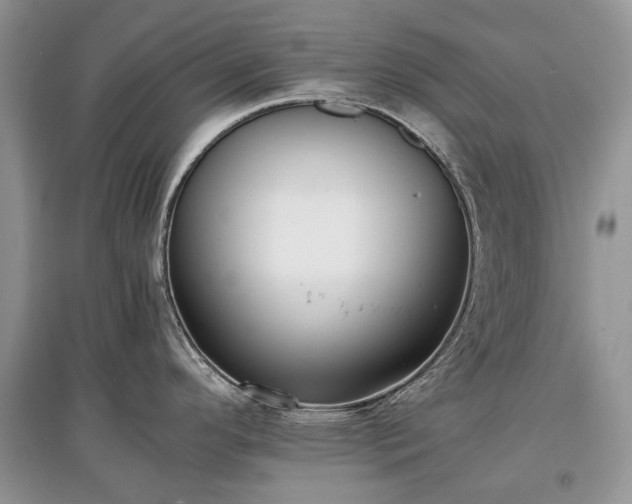 X0000097641296200803071545