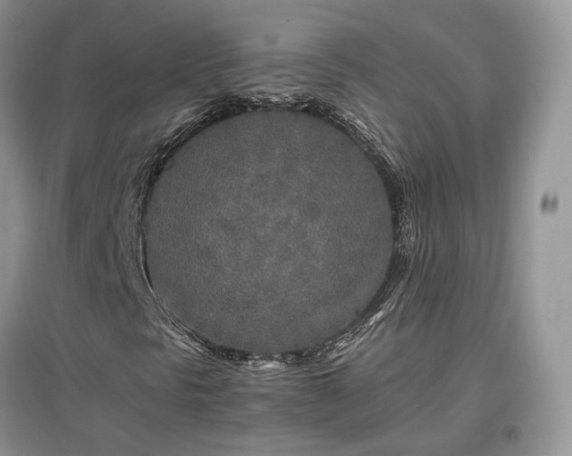 X0000097641297200803071544