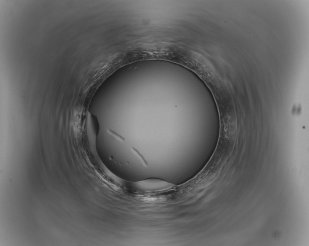 X0000097641298200803071544