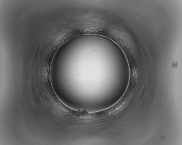 X0000097641300200803071544