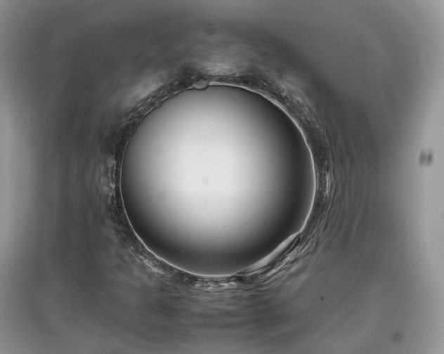 X0000097641301200803071544