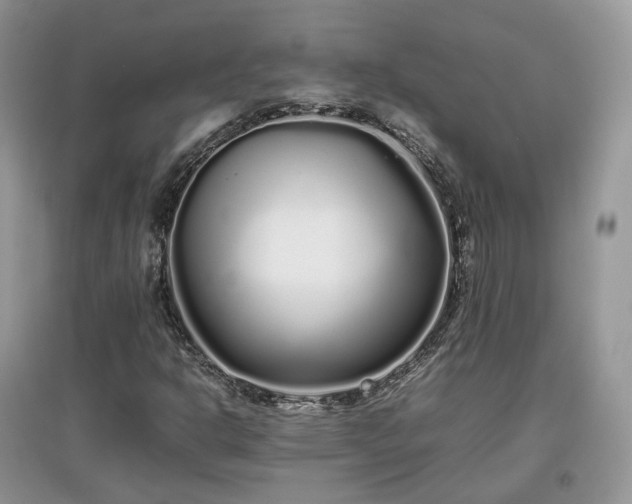 X0000097641302200803071544