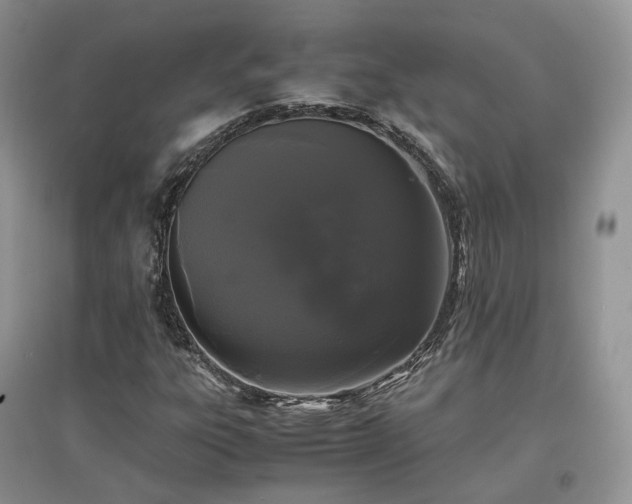 X0000097641303200803071544