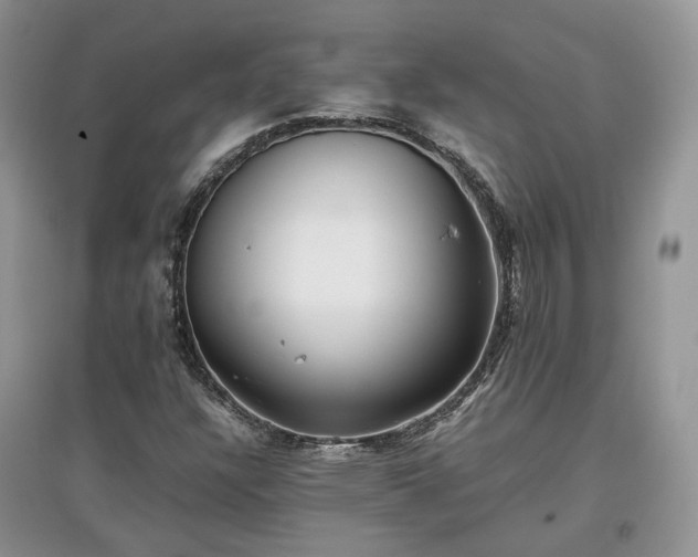 X0000097641304200803071544