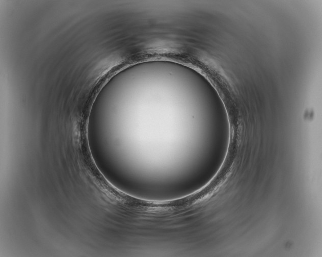 X0000097641305200803071544