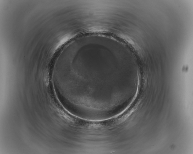 X0000097641306200803071544