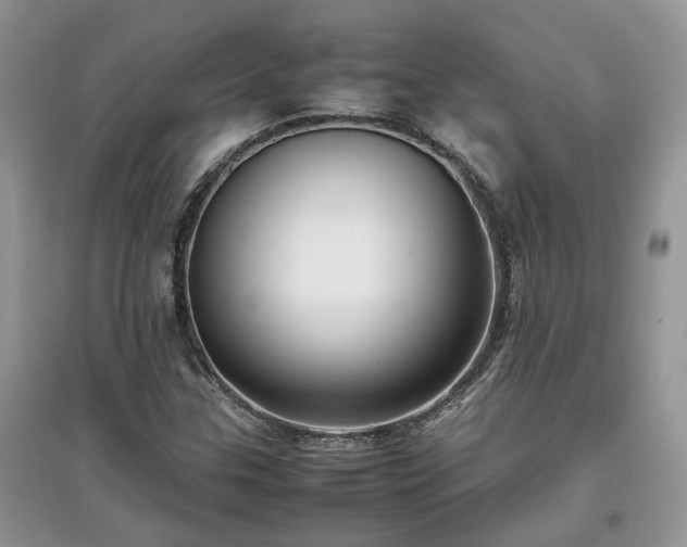 X0000097641307200803071544