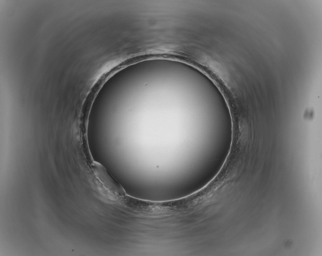 X0000097641308200803071544