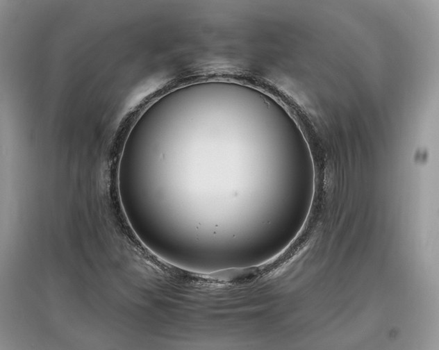 X0000097641309200803071544