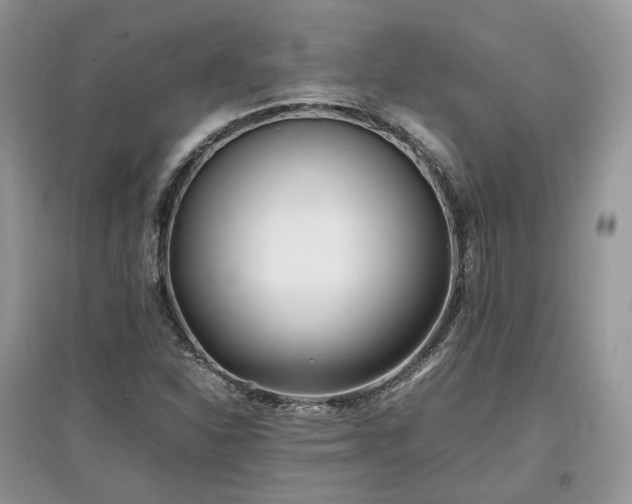 X0000097641310200803071544