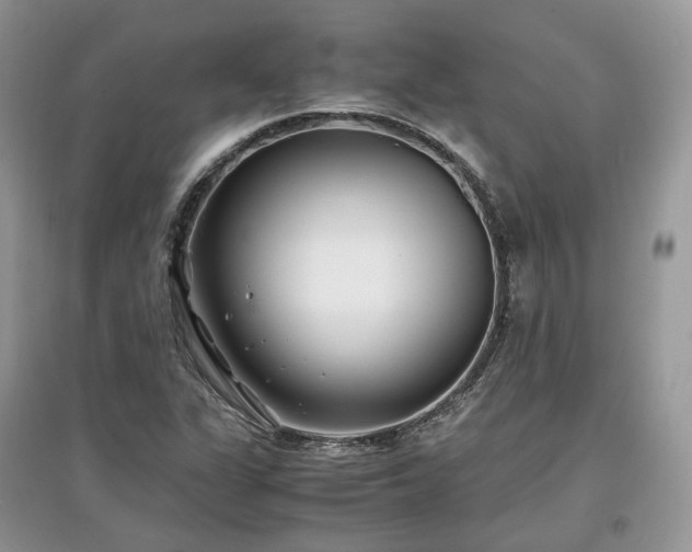 X0000097641311200803071544