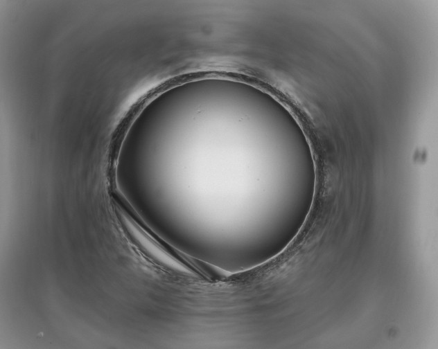 X0000097641312200803071544