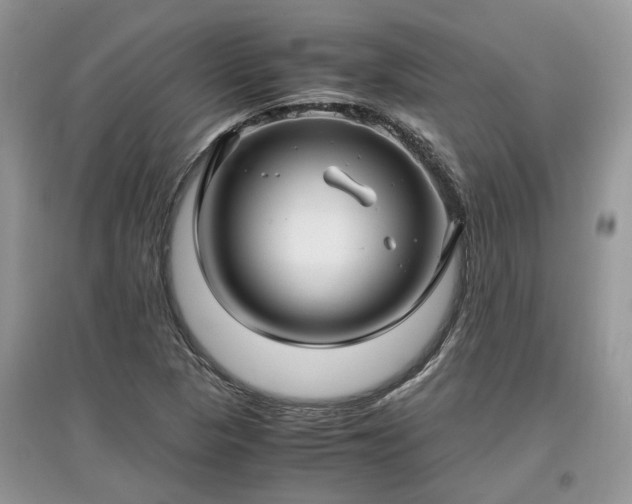 X0000097641313200803071544