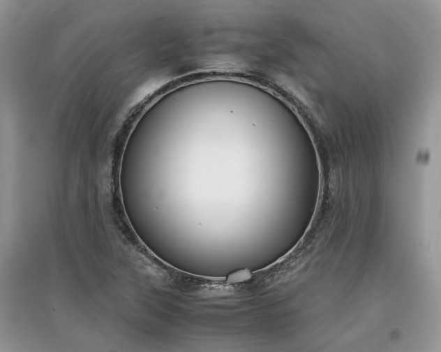 X0000097641315200803071544