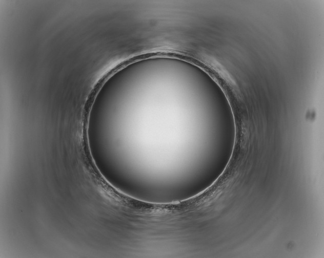 X0000097641316200803071544