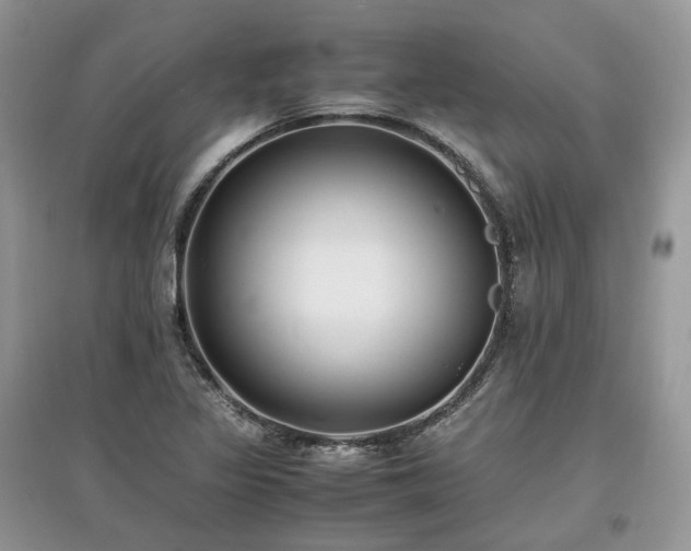 X0000097641317200803071544